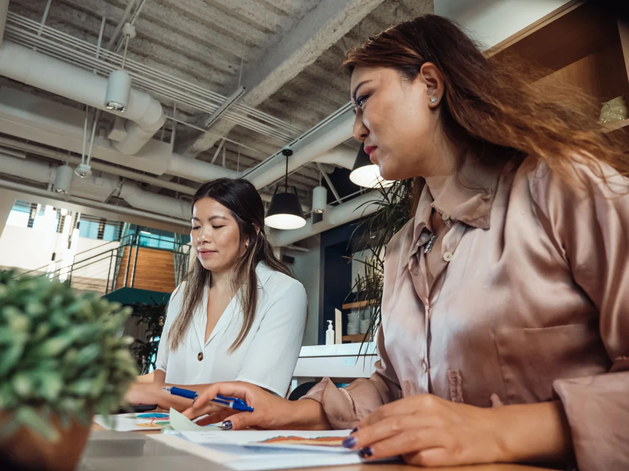 Business Analysts Looking at Charts Two female business analysts looking through charts